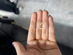 گل گوش دایناسور - تصویر 2