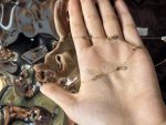 گردنبند اکسترا پولکی - تصویر 2