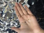 گردنبند اکسترا ستاره - تصویر 2