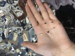 گردنبند اکسترا پولکی - تصویر 2