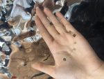 گردنبند اکسترا پولکی لوزی - تصویر 2