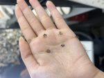 گردنبند اکسترا آویز گل - تصویر 2
