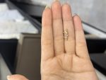 گل گوش دم وال - تصویر 2