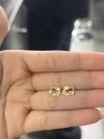 گل گوش کیتی - تصویر 2