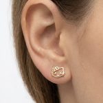 گل گوش کیتی