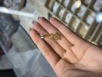 پلاک ستاره - تصویر 2