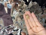 انگشتر توری - تصویر 2